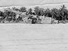 Click For Enlargement