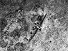 Click For Enlargement