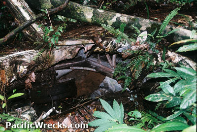 PacificWrecks.com