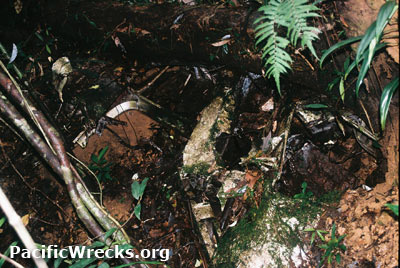 PacificWrecks.com