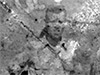 Click For Enlargement