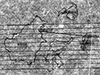 Click For Enlargement