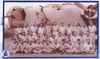 Click For Enlargement
