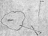 Click For Enlargement