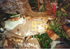 Click For Enlargement