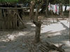 Click For Enlargement