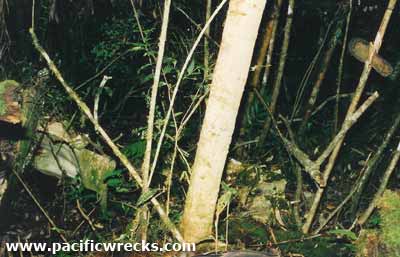 PacificWrecks.com