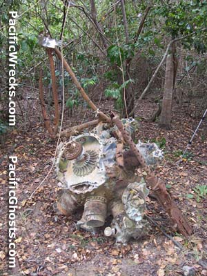 Click For Enlargement