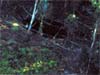 Click For Enlargement