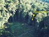 Click For Enlargement