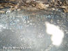 Click For Enlargement