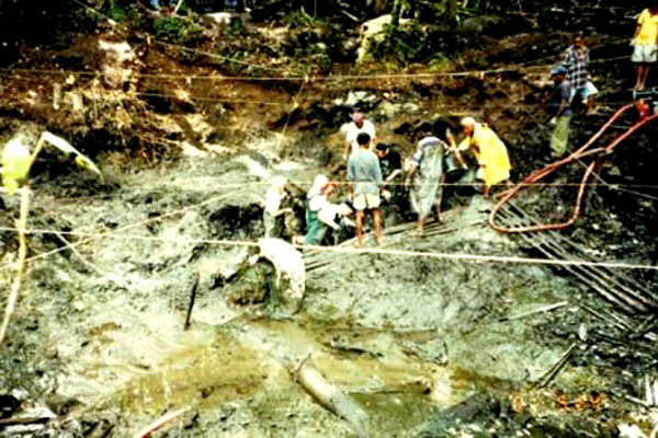 PacificWrecks.com