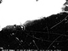 Click For Enlargement