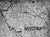 Click For Enlargement