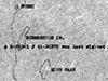 Click For Enlargement
