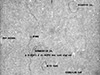 Click For Enlargement