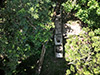 Click For Enlargement
