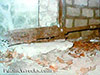 Click For Enlargement