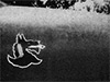 Click For Enlargement