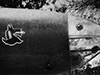 Click For Enlargement