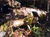 Click For Enlargement