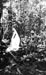Click For Enlargement