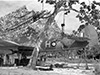 Click For Enlargement