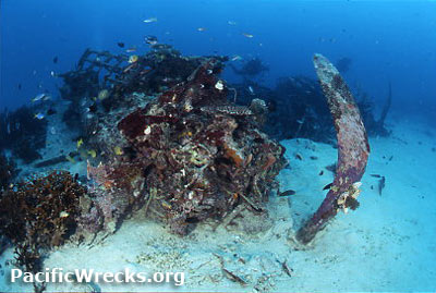 PacificWrecks.com