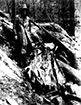 Click For Enlargement