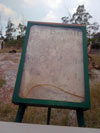 Click For Enlargement