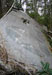 Click For Enlargement