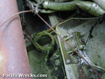 PacificWrecks.com