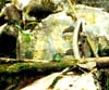 Click For Enlargement