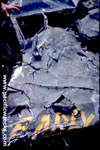 Click For Enlargement