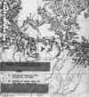 Click For Enlargement