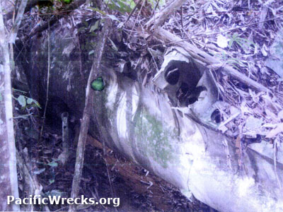 PacificWrecks.com