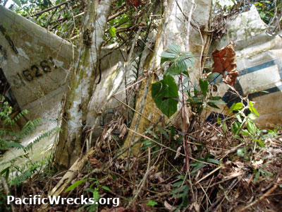 PacificWrecks.com
