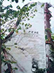 Click For Enlargement