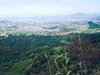 Click For Enlargement