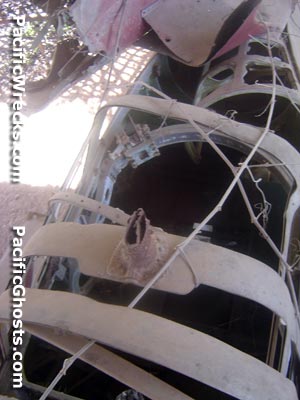 Click For Enlargement