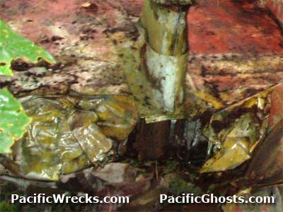 PacificWrecks.com