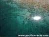 Click For Enlargement
