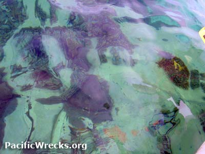 PacificWrecks.com