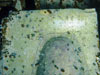 Click For Enlargement