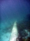 Click For Enlargement