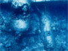 Click For Enlargement