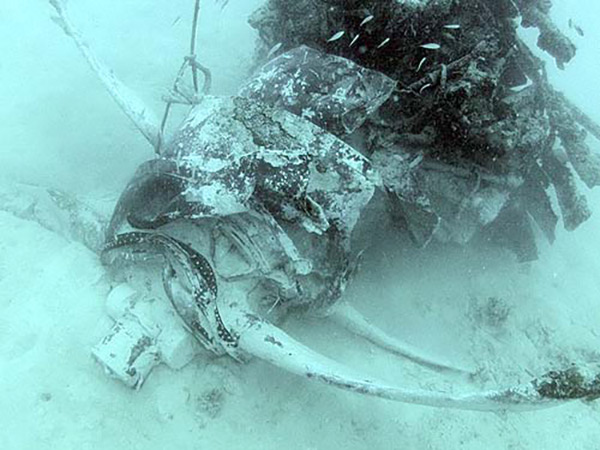 PacificWrecks.com