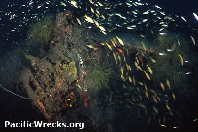 PacificWrecks.com