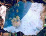 Click For Enlargment