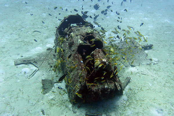 PacificWrecks.com